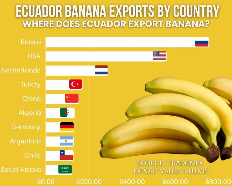 Ecuadorian banana exports